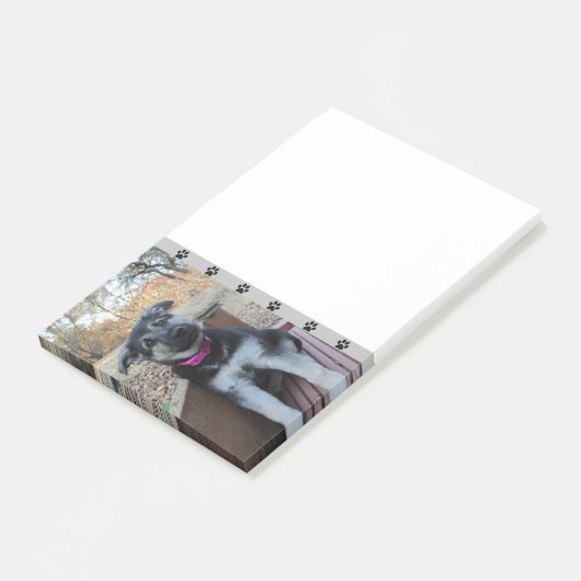 子犬が階段で待機するポストイットノート ポストイット (アングル)