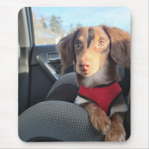 子犬きお付きマウスパッド マウスパッド