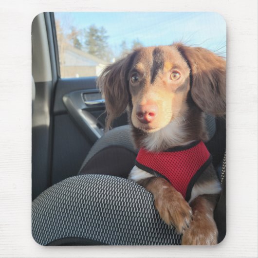 子犬きお付きマウスパッド マウスパッド (正面)