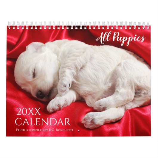 子犬だらけ 2027年 子犬 壁掛け かわいい カレンダー (カバー)