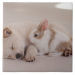 子犬とウサギ タイル<br><div class="desc">子犬とウサギ |ジャイロ写真/アマナイメージRF |資産ID:96586605</div>