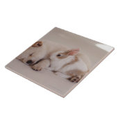 子犬とウサギ タイル (側面)