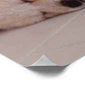 子犬とウサギ ポスター (角)