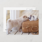 子犬とウサギ ポストカード (正面/裏面)