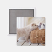 子犬とウサギ マグネット (正面/裏面)