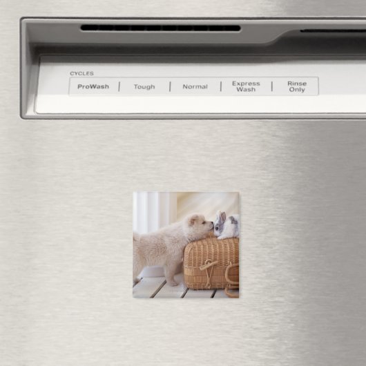 子犬とウサギ マグネット (インサイチュ (食洗機))