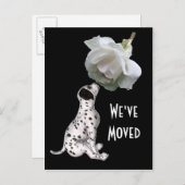 子犬とバラの新しい住所はがき 案内ポストカード (正面/裏面)