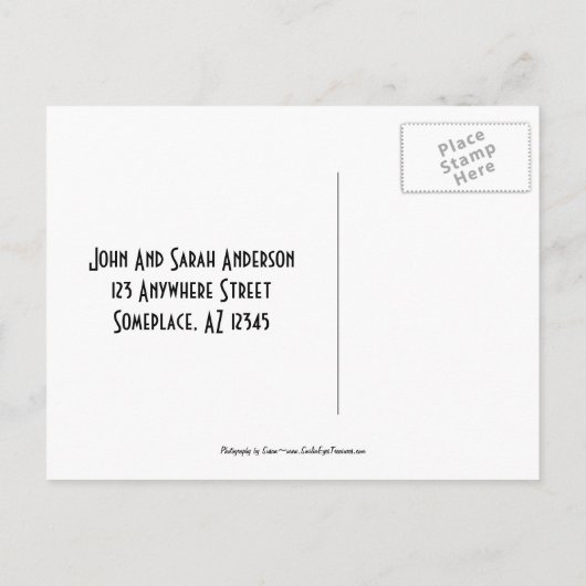 子犬とバラの新しい住所はがき 案内ポストカード (裏面)