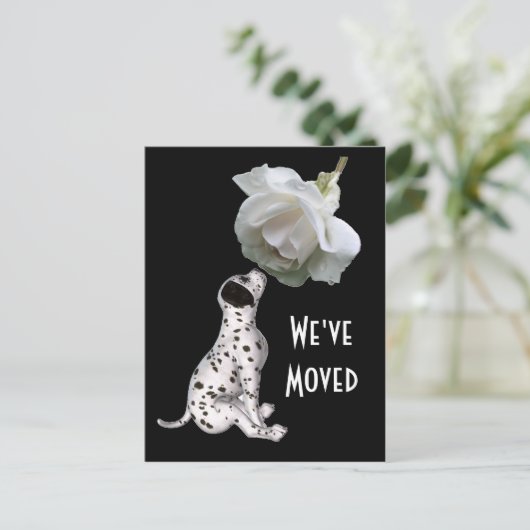 子犬とバラの新しい住所はがき 案内ポストカード (スタンド正面)