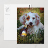 子犬とビールボトル ポストカード (正面/裏面)
