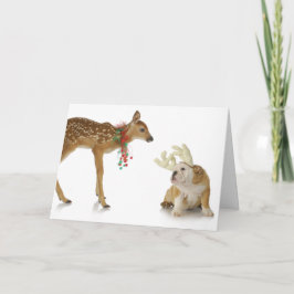 子犬とブルドッグのクリスマスカード カード
