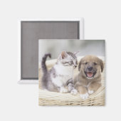 子犬とベビー猫 マグネット (正面/裏面)