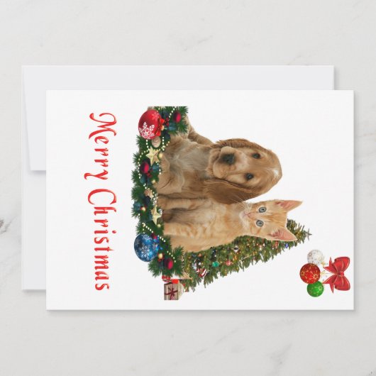 子犬と子猫のクリスマスカード シーズンカード (正面)