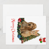子犬と子猫のクリスマスカード シーズンカード (正面/裏面)