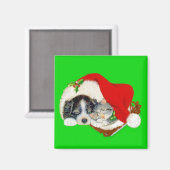 子犬と子猫のクリスマス マグネット (正面/裏面)