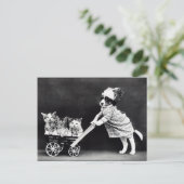 子犬と子猫の人間の状況 ポストカード (スタンド正面)