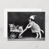 子犬と子猫の人間の状況 ポストカード (正面/裏面)