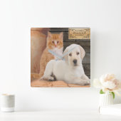   子犬と子猫 スクエア壁時計 (ホーム)