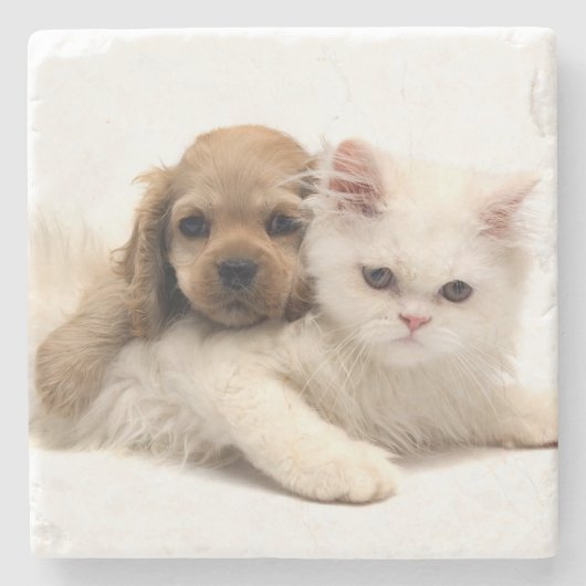 子犬と子猫 ストーンコースター (正面)