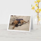 子犬と犬の首輪 カード (黄色い花)