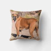 子犬と白ボクサー クッション (裏面)