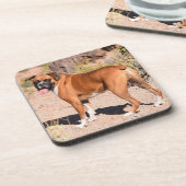 子犬と白ボクサー コースター (左側)