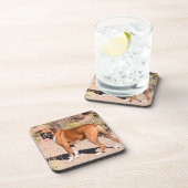 子犬と白ボクサー コースター (右側)