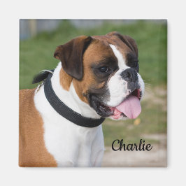 子犬と白ボクサー マグネット