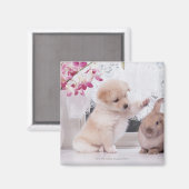 子犬と耳のウサギ マグネット (正面/裏面)