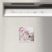 子犬と耳のウサギ マグネット (インサイチュ (食洗機))