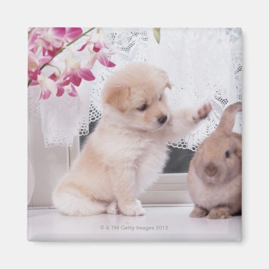 子犬と耳のウサギ マグネット (正面)