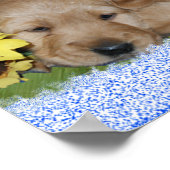 子犬と花 – GOLDEN RETRIEVERポスター ポスター (角)