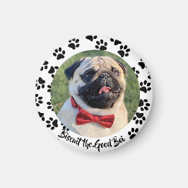 子犬にする マグネット