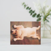 子犬のおもしろい敷設 ポストカード (スタンド正面)