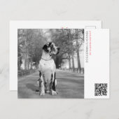 子犬のお知らせポストカード ポストカード (正面/裏面)