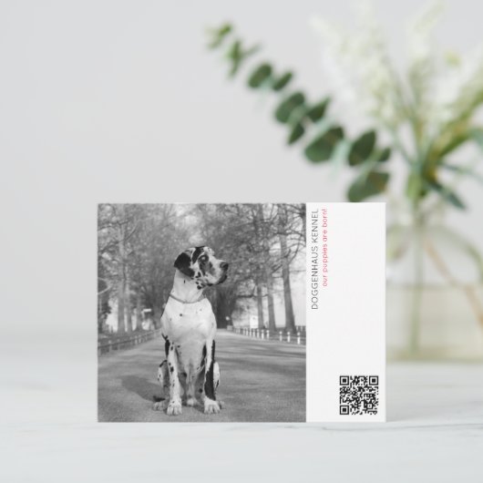 子犬のお知らせポストカード ポストカード (スタンド正面)