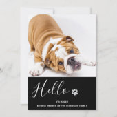 子犬のお知エレガントらせモダン- Black New Pet 招待状 (正面)