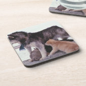 子犬のくずが付いているハスキー コースター (左側)