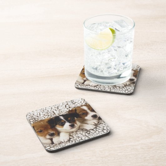 子犬のくず コースター (右側)