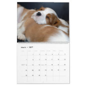 子犬のカレンダー カレンダー (3月 2027)