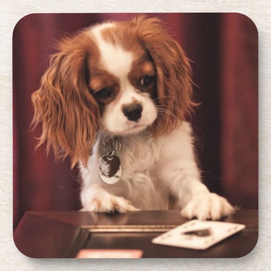子犬のカ遊ード コースター (正面)