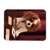 子犬のカ遊ード マグネット (横)