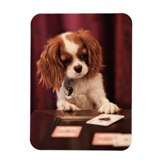 子犬のカ遊ード マグネット (縦)