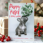 子犬のキスと願う可愛いペット犬の写真 シーズンカード