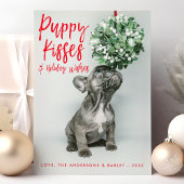 子犬のキスと願う可愛いペット犬の写真 シーズンカード