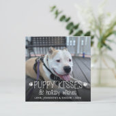 子犬のキス犬ペット子犬の写真 シーズンカード (スタンド正面)