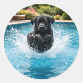 子犬のキャノンボール サマー プールパーティー ラウンドシール