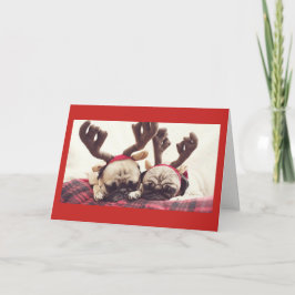 子犬のクリスマスのテーマのお祝いカード シーズンカード