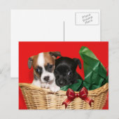 子犬のクリスマス シーズンポストカード (正面/裏面)