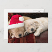 子犬のクリスマス シーズンポストカード (正面/裏面)